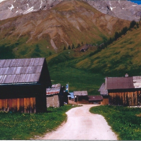 Architettura tradizionale di montagna in trentino: caratteristiche, trasformazioni e tutela - FFDL