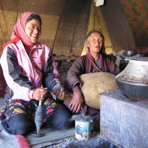 Das Gold des Himalaya. Nomadenleben in Ladakh - FFDL