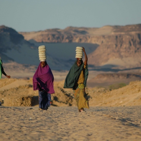 Schatten der Wüste - Salzkarawanen im Niger - FFDL