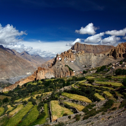 Postbote im Himalaya - FFDL