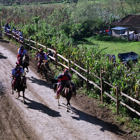 Tutti i santi e i cavalieri ubriachi - FFDL