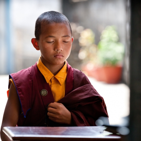 LODEN – THE LITTLE MONK - FFDL