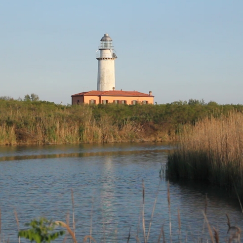 IL RISVEGLIO DEL FIUME SEGRETO - FFDL