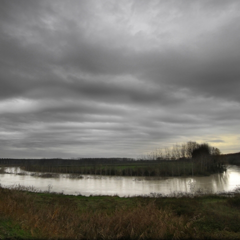 LUNGO IL FIUME - FFDL