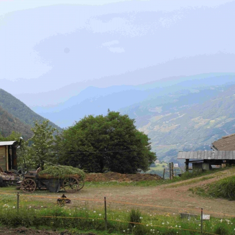 Walden oder leben in den Bergen - FFDL