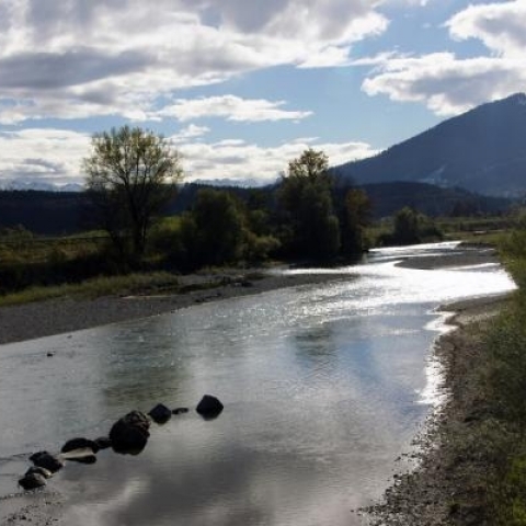 Wilde Wasser - An der Iller - FFDL