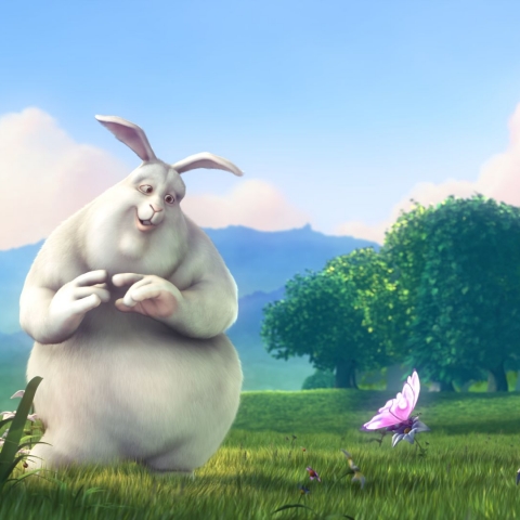 Big buck bunny - FFDL