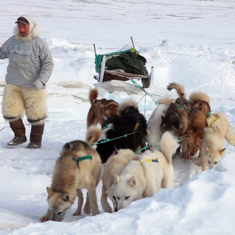 SILA AND THE GATEKEEPERS OF THE ARCTIC - FFDL