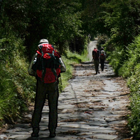 IL CAMMINO DELL'APPIA ANTICA - FFDL