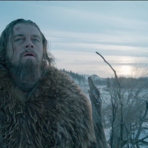 THE REVENANT - FFDL