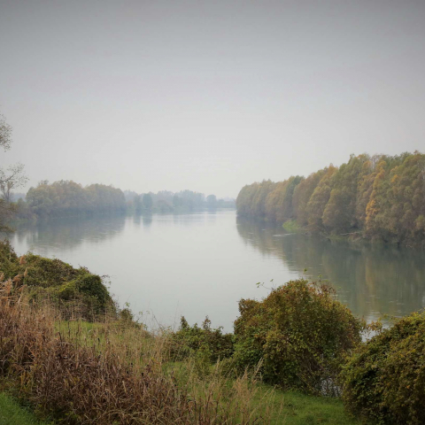 STORIE DI TERRE E D'ACQUA: ADIGE ETSCH - FFDL