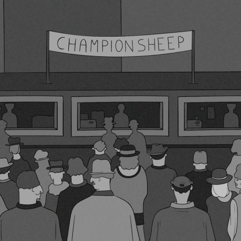 CHAMPIONSHEEP - FFDL