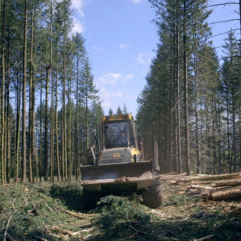 Le temps des forêts - FFDL