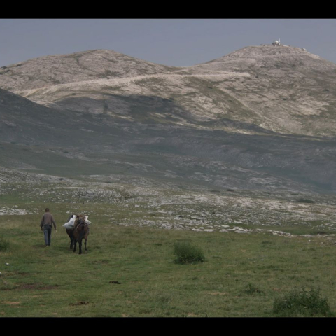 THE MOUNTAIN WON’T MOVE - FFDL
