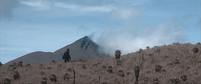 COMO EL AGUA, LA PIEDRA Y LA ESPUMA - FFDL