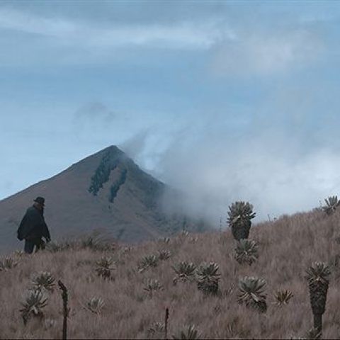 COMO EL AGUA, LA PIEDRA Y LA ESPUMA - FFDL