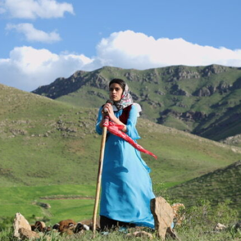 DASHT MIKHANAD - FFDL