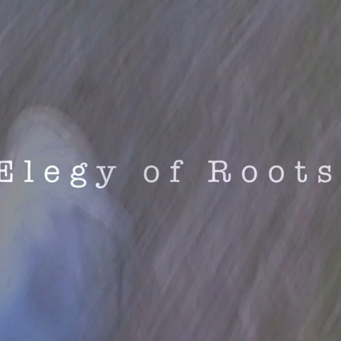 ELEGY OF ROOTS - FFDL