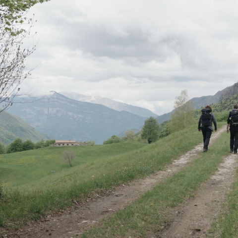IL CAMMINO - FFDL