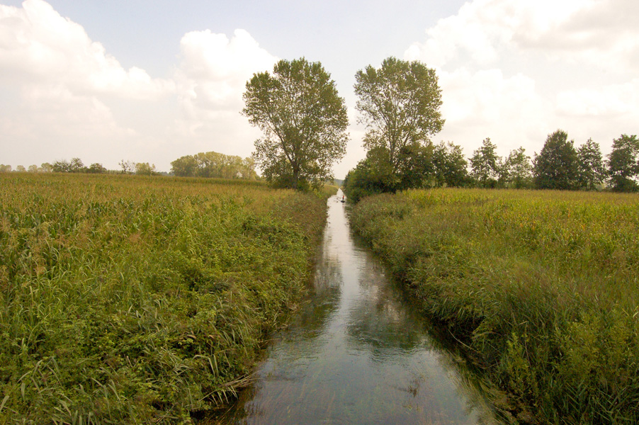 IL PARCO DEL SILE - FFDL