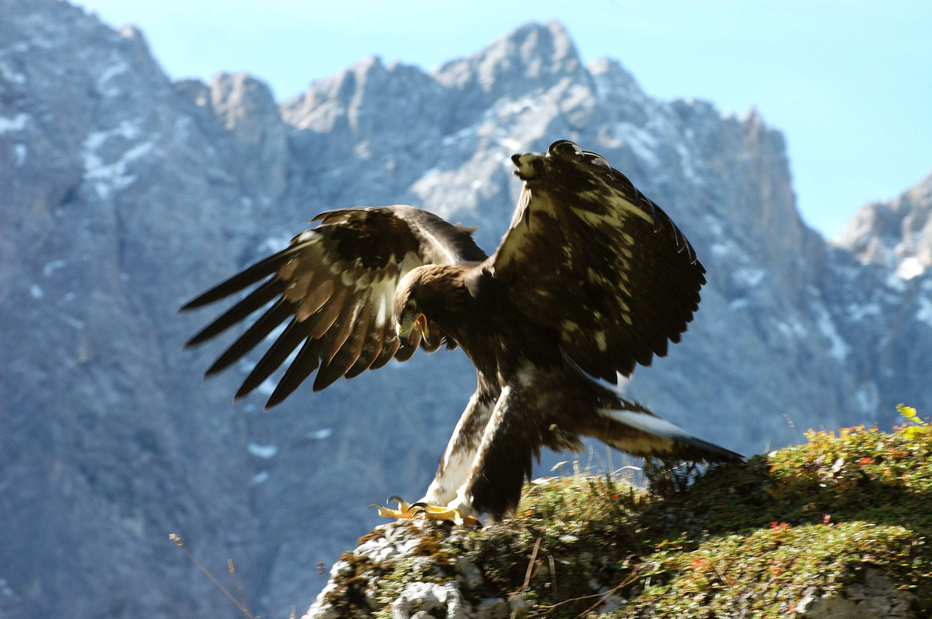 Tra la Baviera e il Tirolo - Natura in Karwendel - FFDL