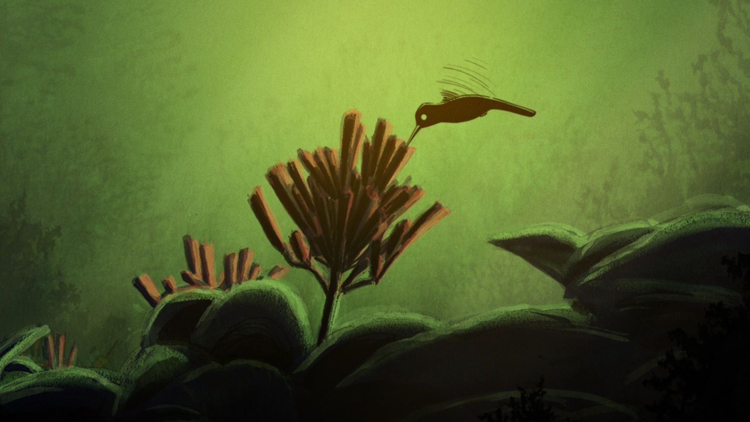 LA LEGGENDA DEL COLIBRÌ - FFDL